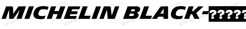 Michelin Black字体转换